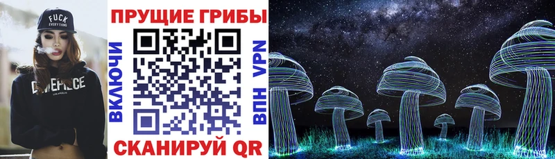 Псилоцибиновые грибы мицелий  где продают   mega ONION  Малоярославец 